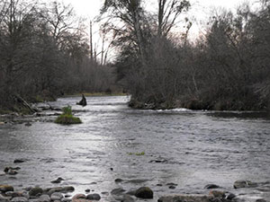 River-Fresno