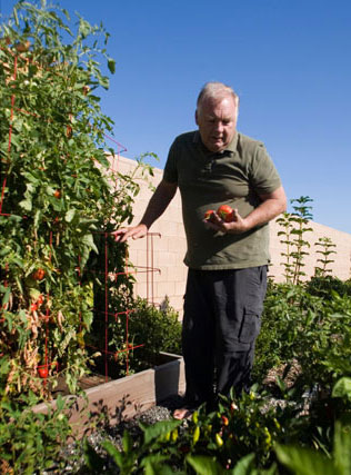 Bruce McDermott tomatoes