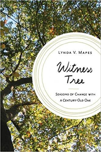 Witness Tree